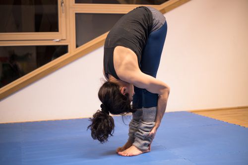 hathayoga 3